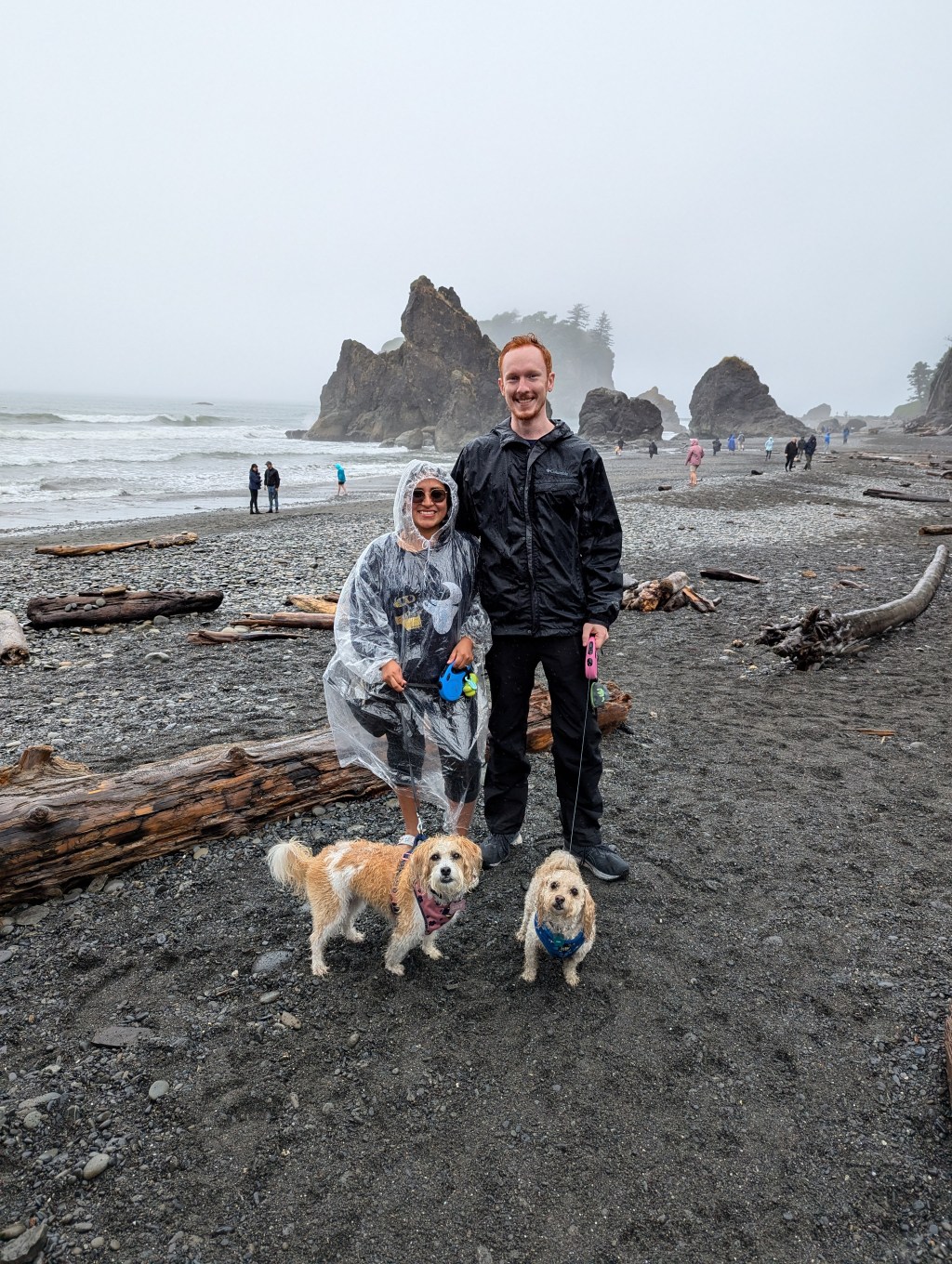 🌲Pacific Northwest Road Trip-Washington Coast (Part&nbsp;1)